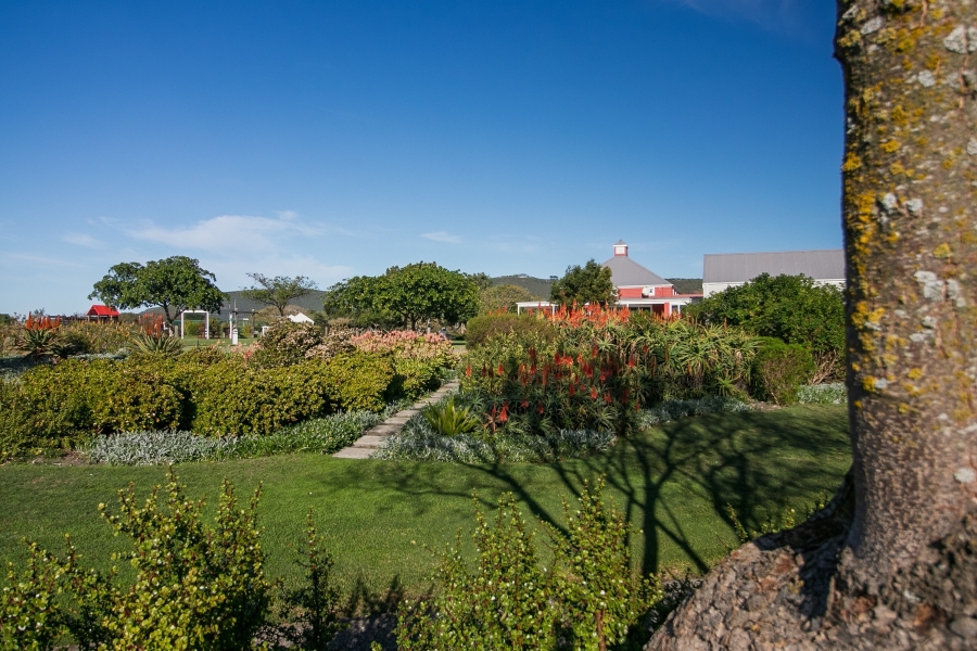 3 Bedroom Property for Sale in Thesen Islands Western Cape